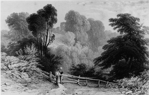 River Glen, below Dilston Castle